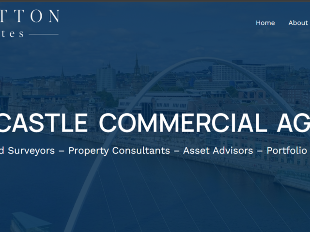 Business Website Development WordPress development Business website Business Website Development WordPress development Business website